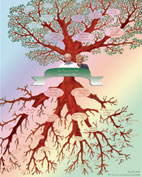 Exemple d'arbre généalogique